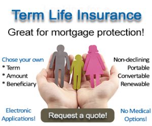 Term Life Insurance