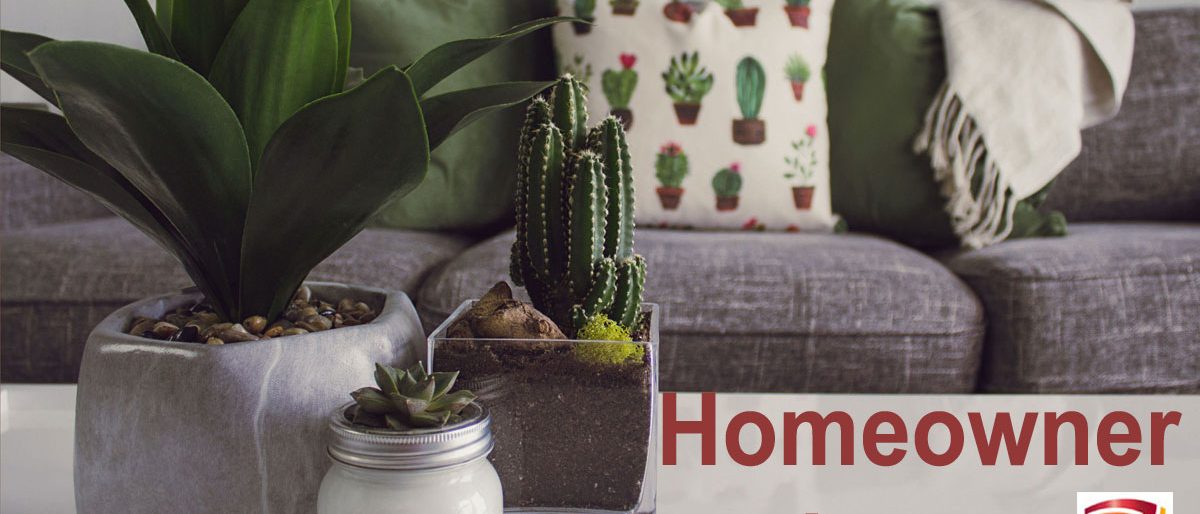 Permalink to: Homeowner Loans