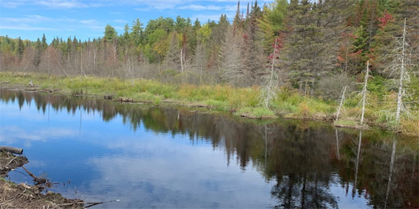 Haliburton Pond